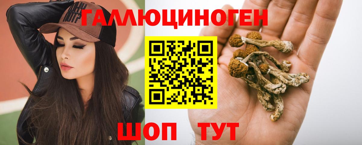 Ялуторовск  Псилоцибиновые грибы Psilocybine cubensis  Вход с VPN  Галлюциногенные грибы Cubensis 